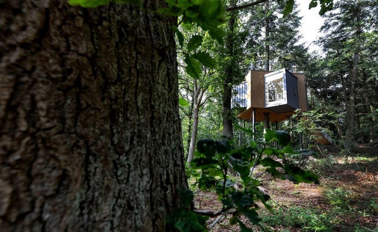 Løvtag 迷你树屋酒店丨丹麦丨丹麦建筑师西格德·拉尔森-3