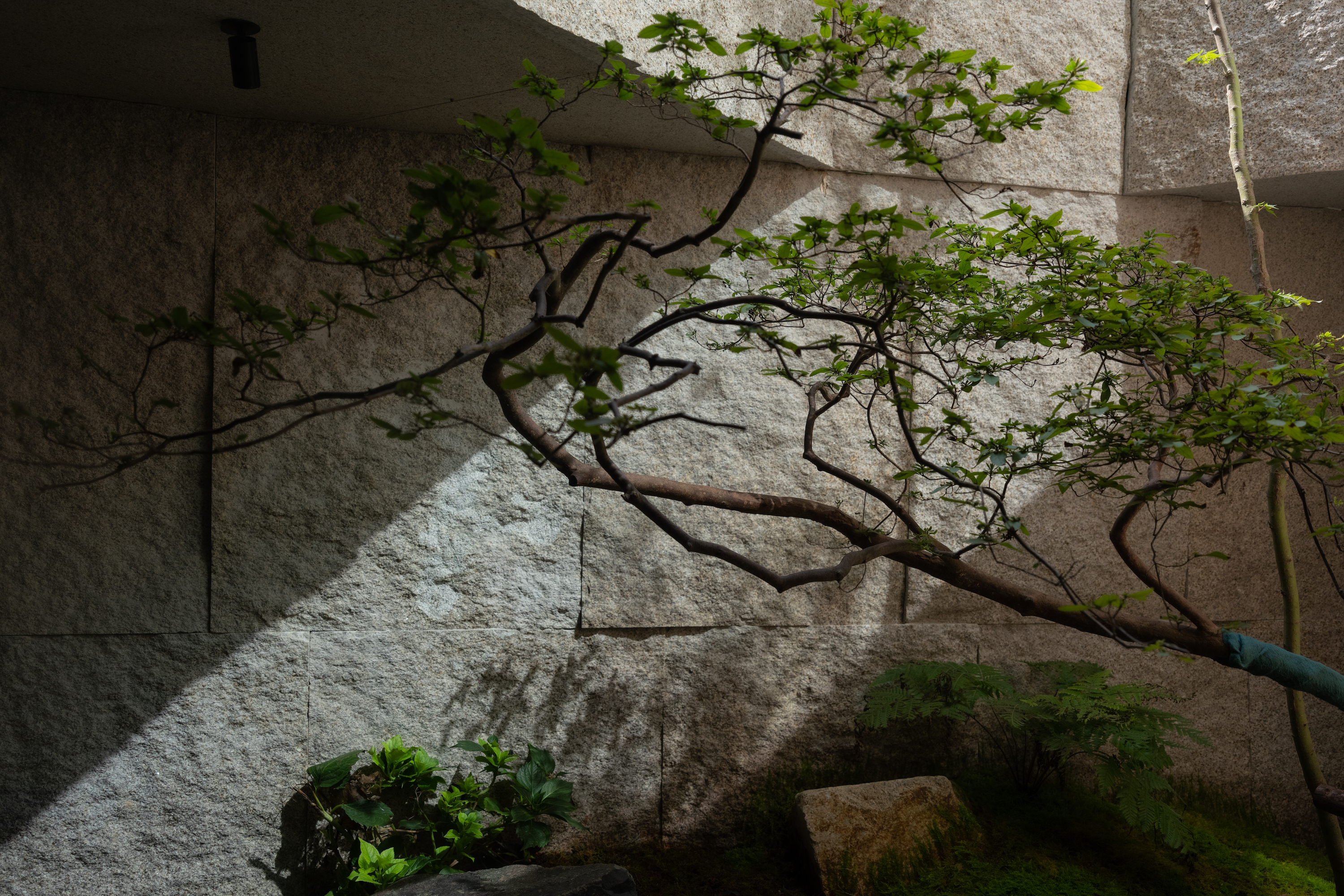 溪山院别墅庭院景观丨中国浙江丨精也园社(南京)设计有限公司+南京金石景观设计-23