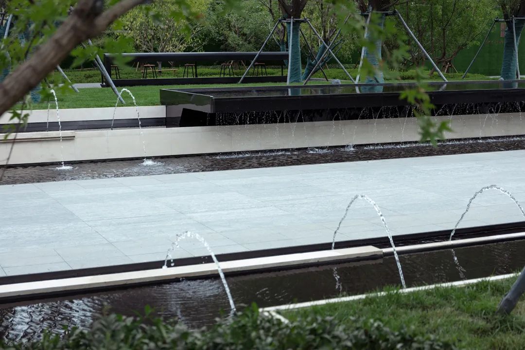 中海·哈尔滨天誉 | 都市中的世外桃源-30