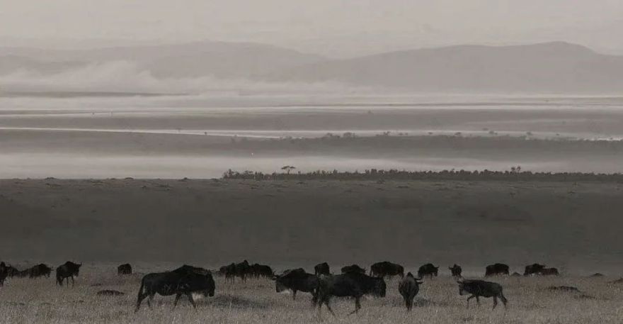 自然无界 | 复氏样板房的自然风情与品质设计-8