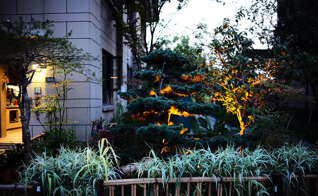 禅意空间 | 一屋一世界，悠然见南山-10