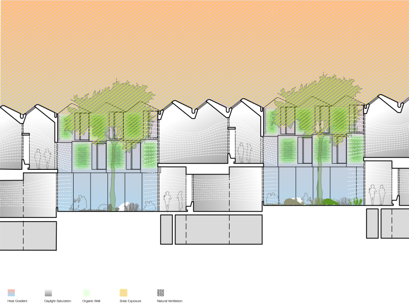 生物气候学派——伊斯顿·康姆斯-23