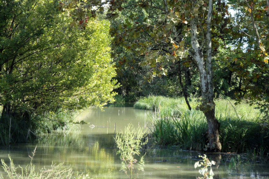 Catene 公园重建-18