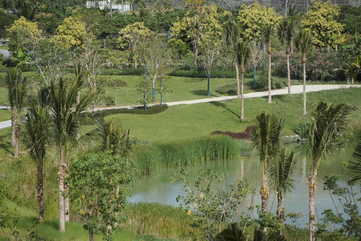 三亚崖州湾科技城通海公园五区丨中国三亚丨成都麦微景观建筑事务所-106