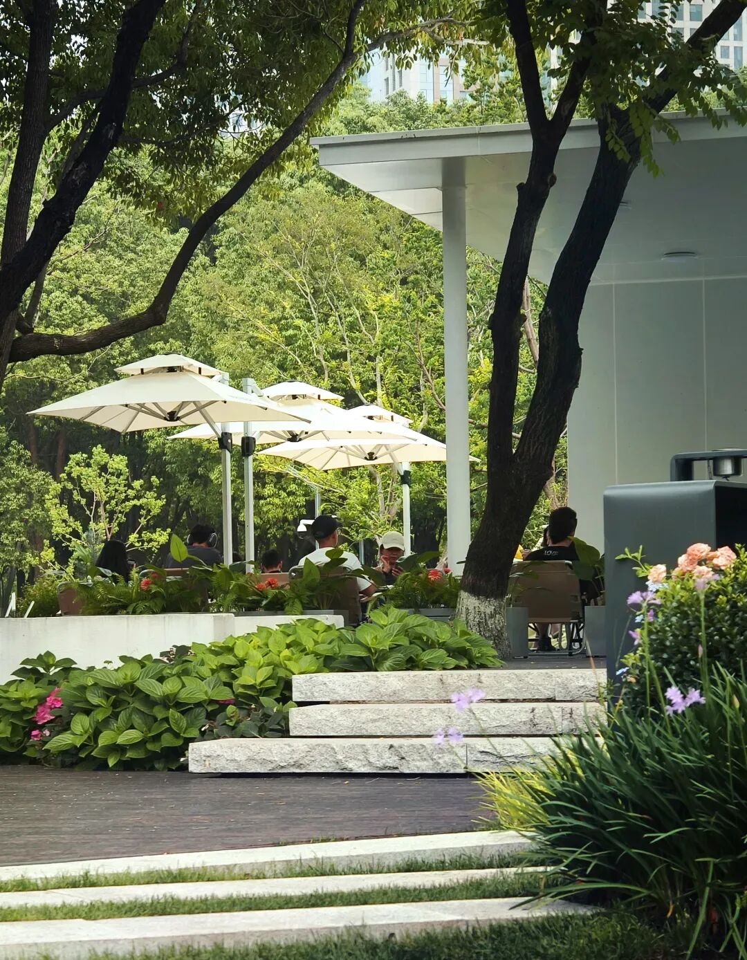 唤醒自然，天鹅重现—城市里的治愈系游园|园科作品-44