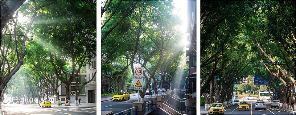 高新量子口袋公园丨10Design-64