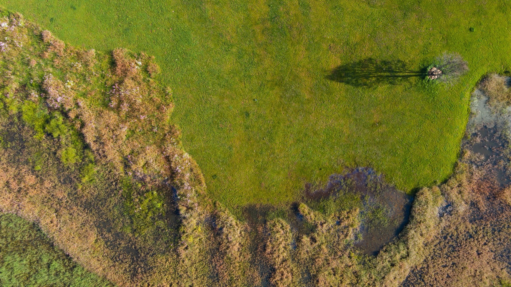 泸沽湖岚岳海子花园丨中国丽江丨Z’scape致舍景观（景观）,尚壹扬设计（建筑及室内）-84