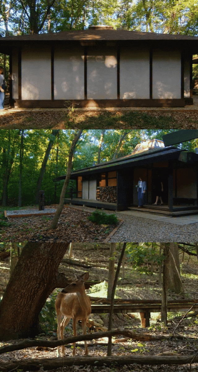 丨美国密歇根丨Norman Carver Jr.-14