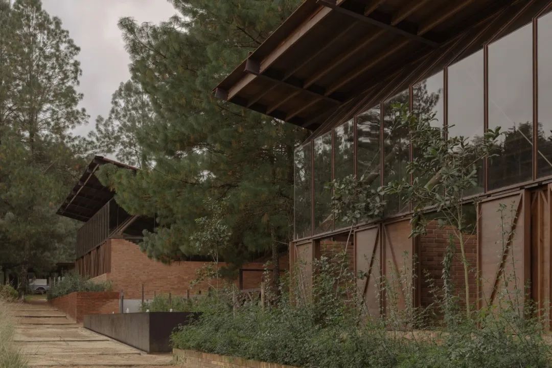 马术圣拉蒙丨墨西哥丨Módica Ledezma-14