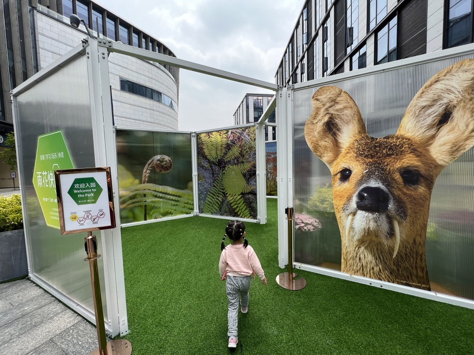 雨花快闪公园丨中国南京丨苏邑设计集团-62