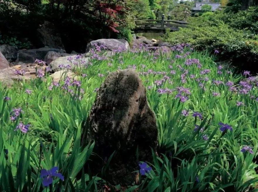 日式禅意庭园-45