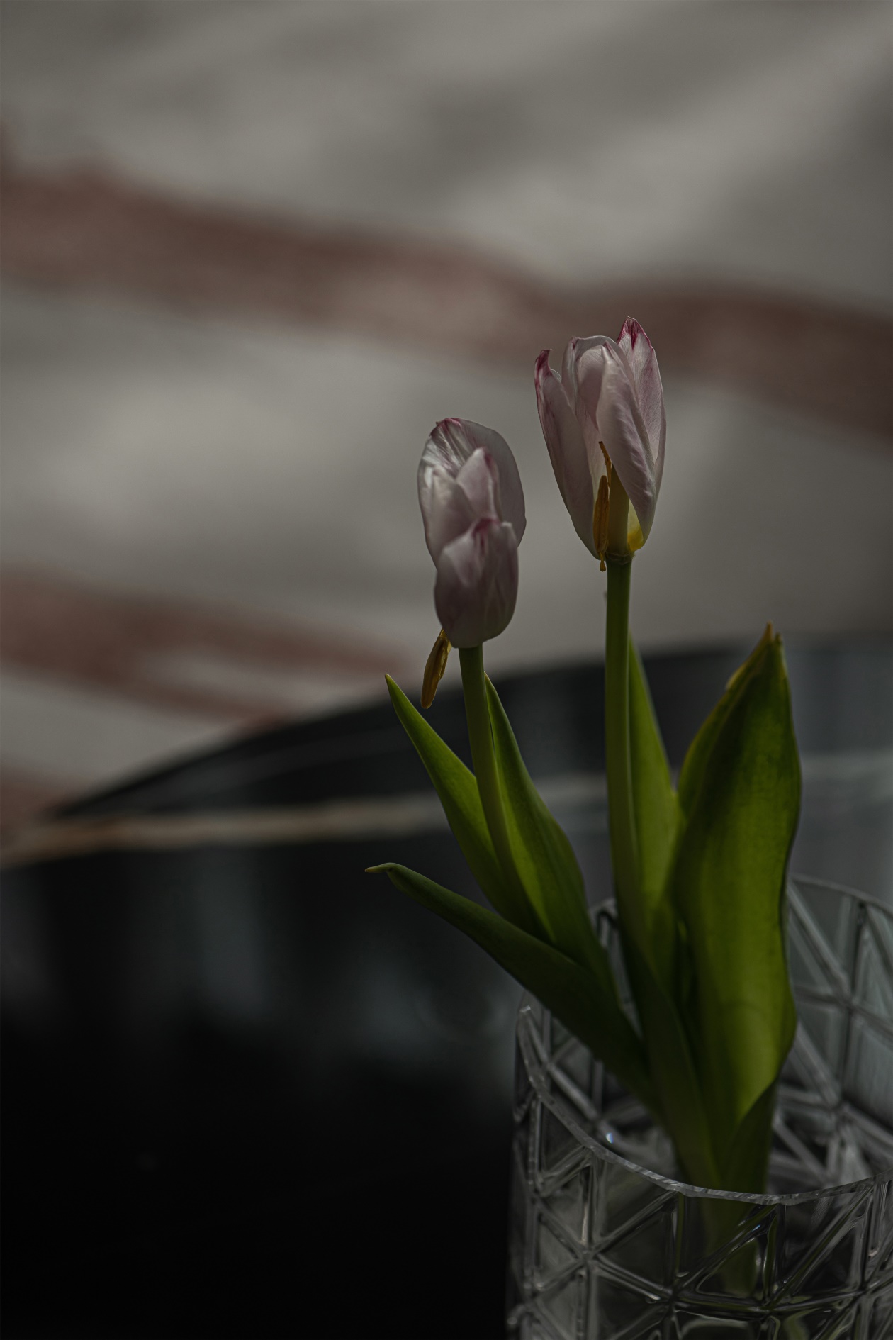 尚舍生活设计 | 馨·声 / 有娃之家的高能精装房改造-31