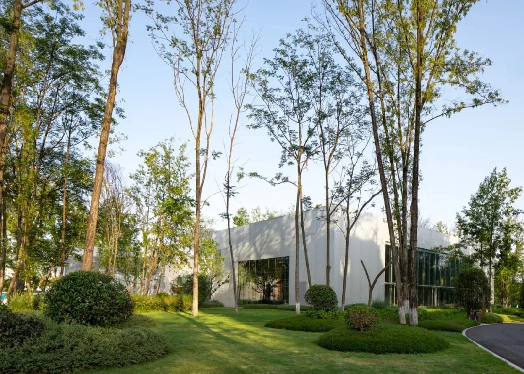 金螳螂   国内首个威士忌主题创新融合酒旅+文旅园区-41