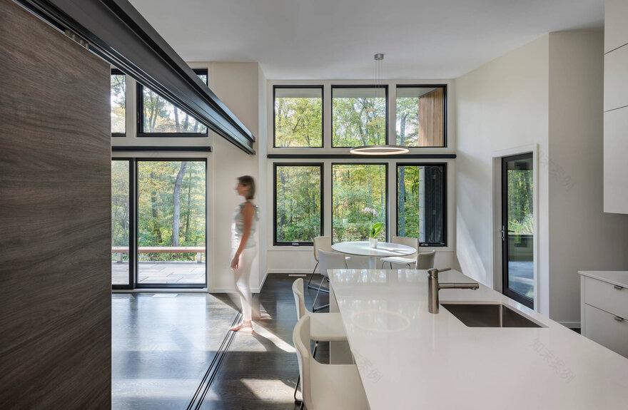 Woodland Retreat / Flavin Architects-10