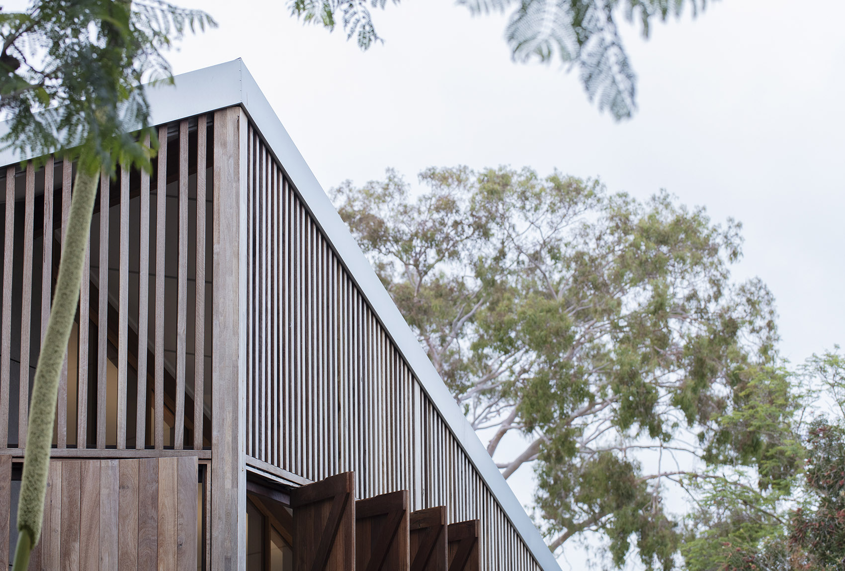 Macdonald Road 住宅丨澳大利亚珀斯丨Philip Stejskal Architecture-73