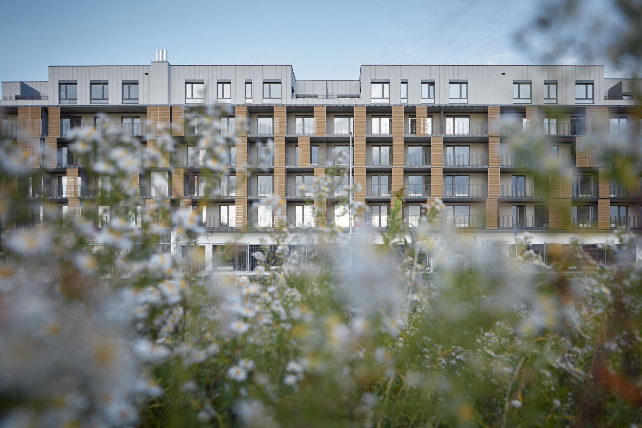 SLNEČNICE   VILADOMY 3  ETAPA COMPASS ARCHITEKTI-0