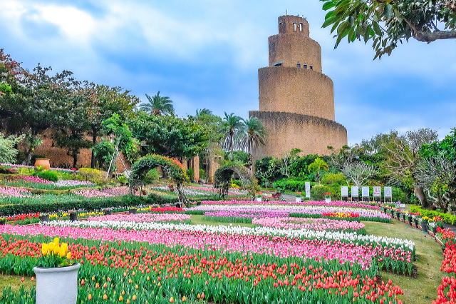 热带梦幻中心(海洋博公园内)丨日本冲绳-44