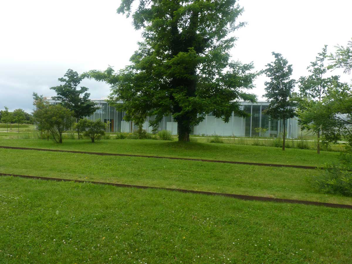 Louvre Lens 博物馆公园-54