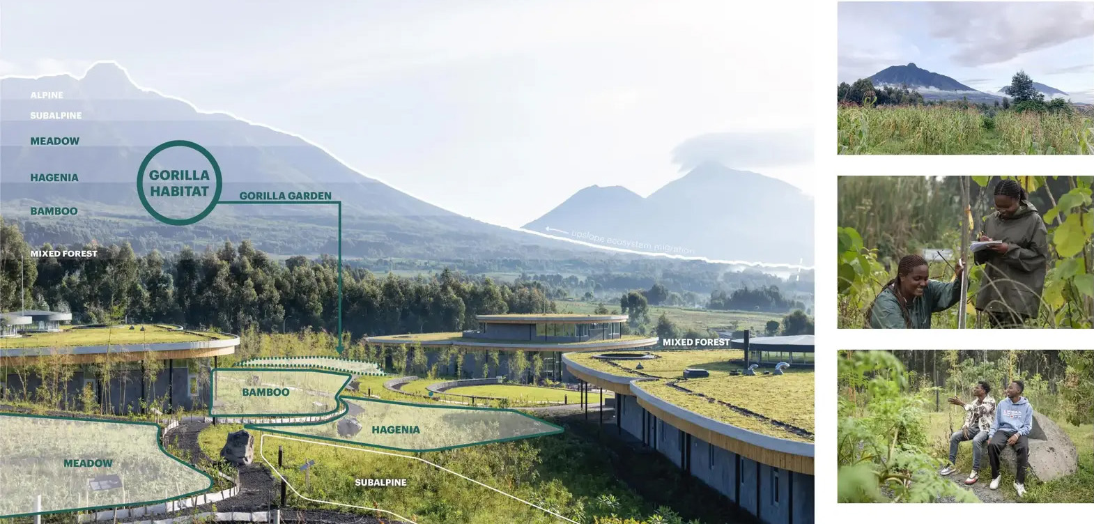 戴安·弗西基金会 & 艾伦·德詹尼丝园区丨卢旺达丨MASS Design Group + TENxTEN-28