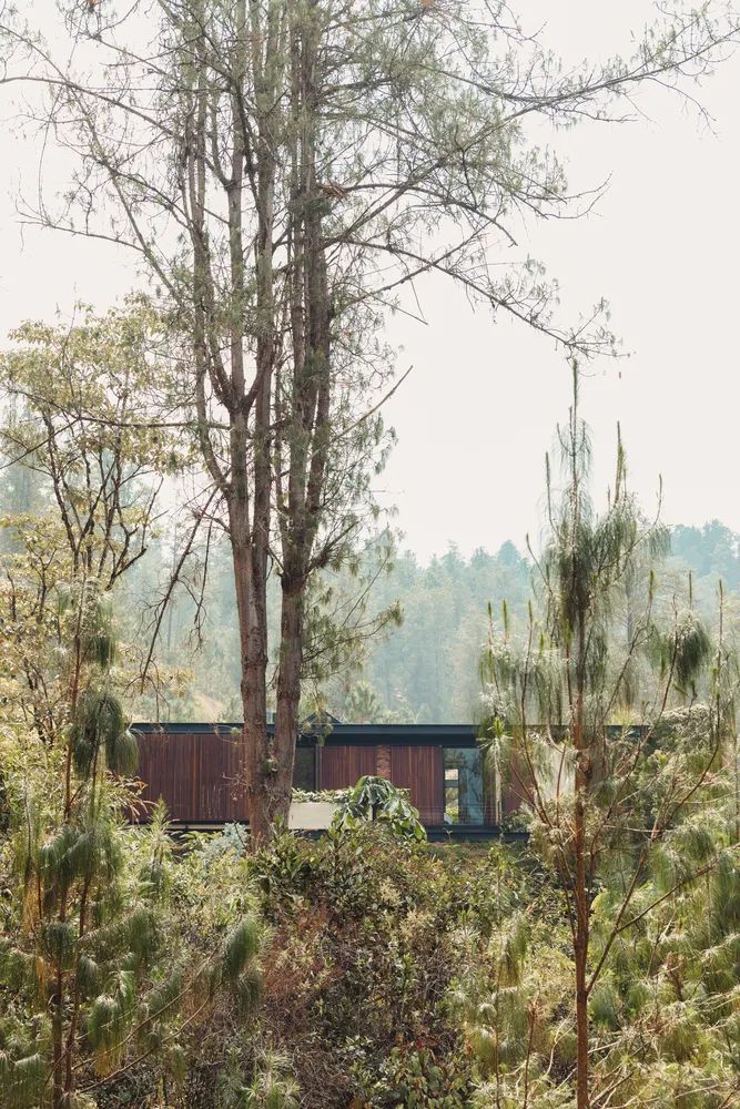 安蒂奥基亚 C+n 家庭住宅 | 自然环境与室内空间的完美融合-18