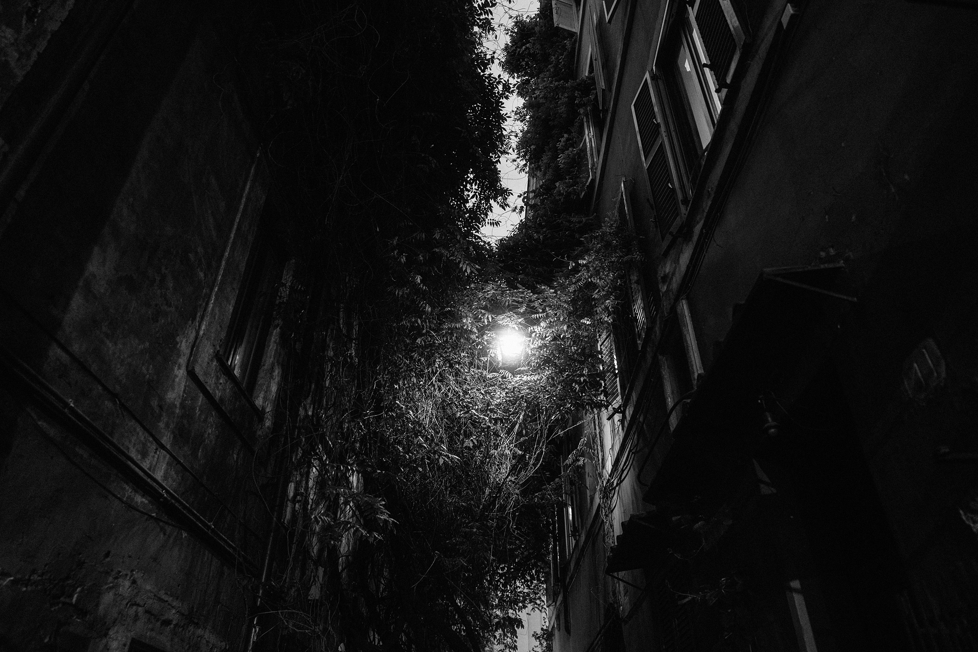 未命名丨Alexander Rentsch-124