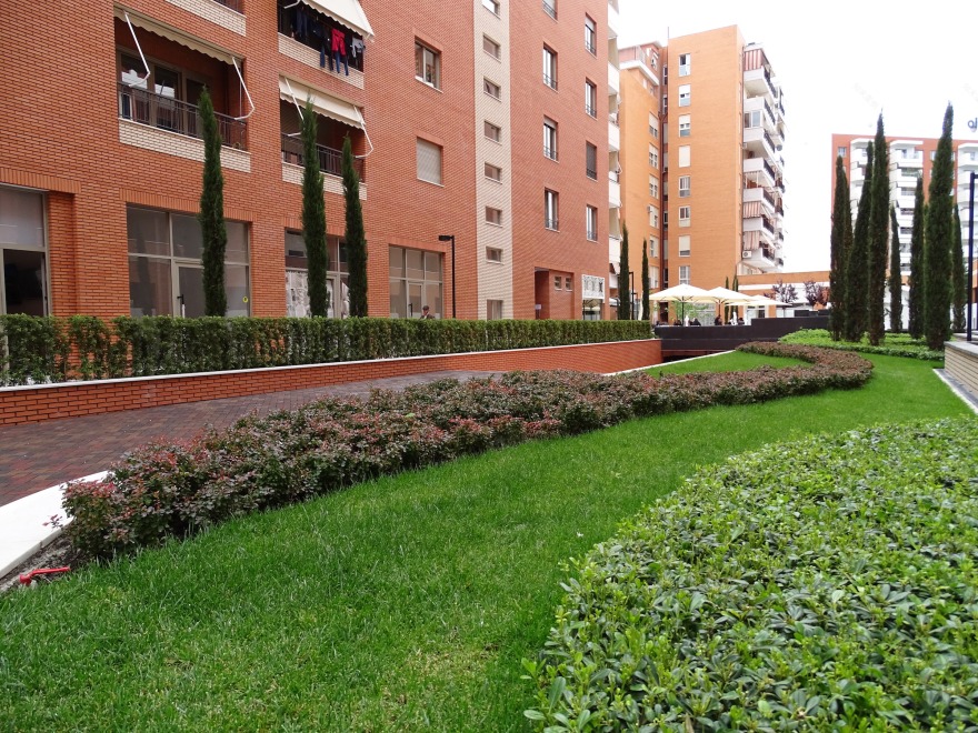 拉纳公园(Lana Park)丨阿尔巴尼亚地拉那-32