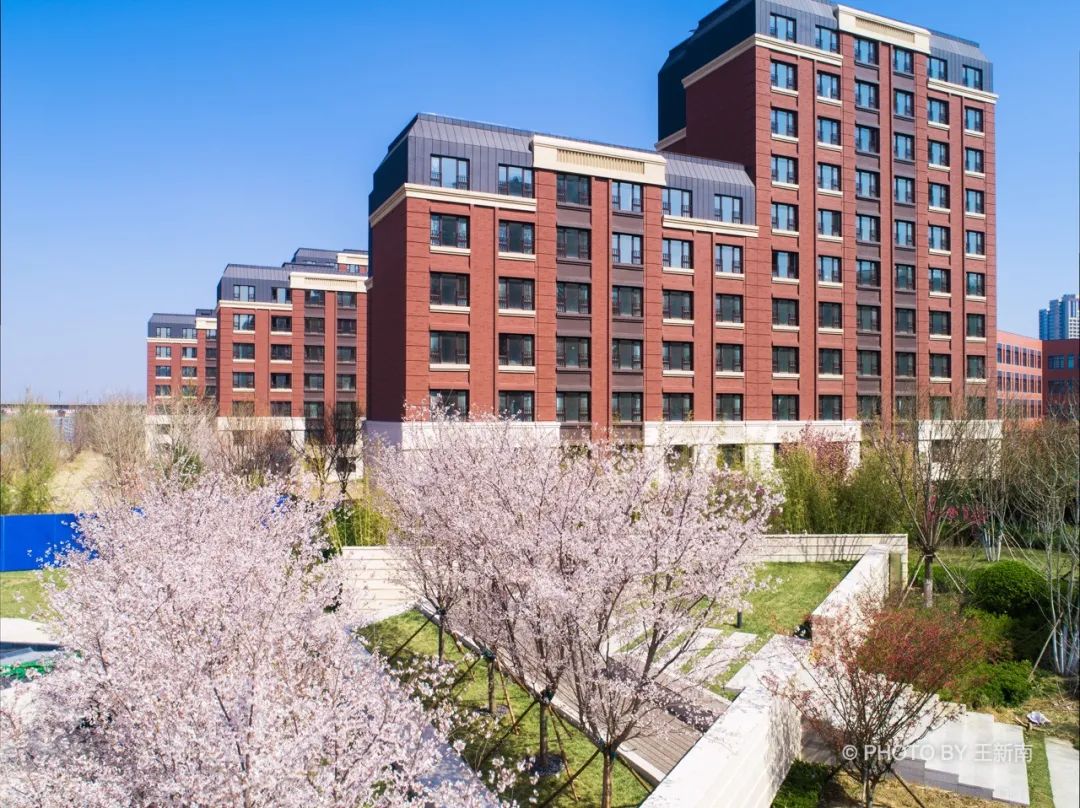 天津万科·翡翠嘉和丨中国天津丨宜德再音(上海)景观设计咨询有限公司,上海天华园林景观有限公司-39