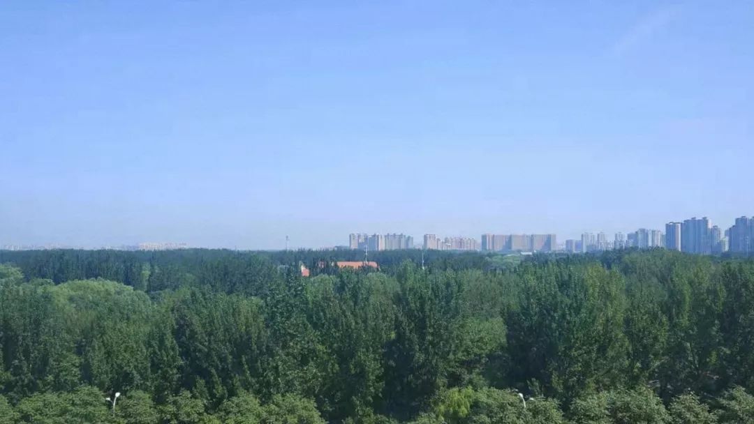 绿意盎然的大屯办公楼 | 清华大学建筑设计研究院总部-135