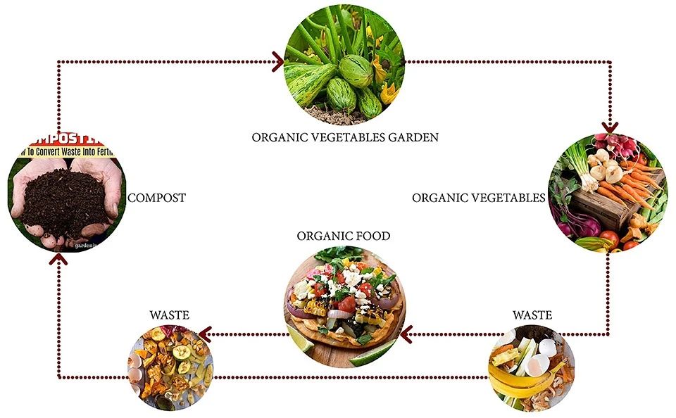 生态循环馆餐厅丨越南丨Takashi Niwa Architects-46