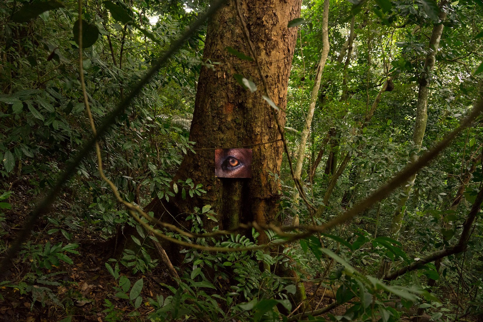 丨芬兰赫尔辛基-34