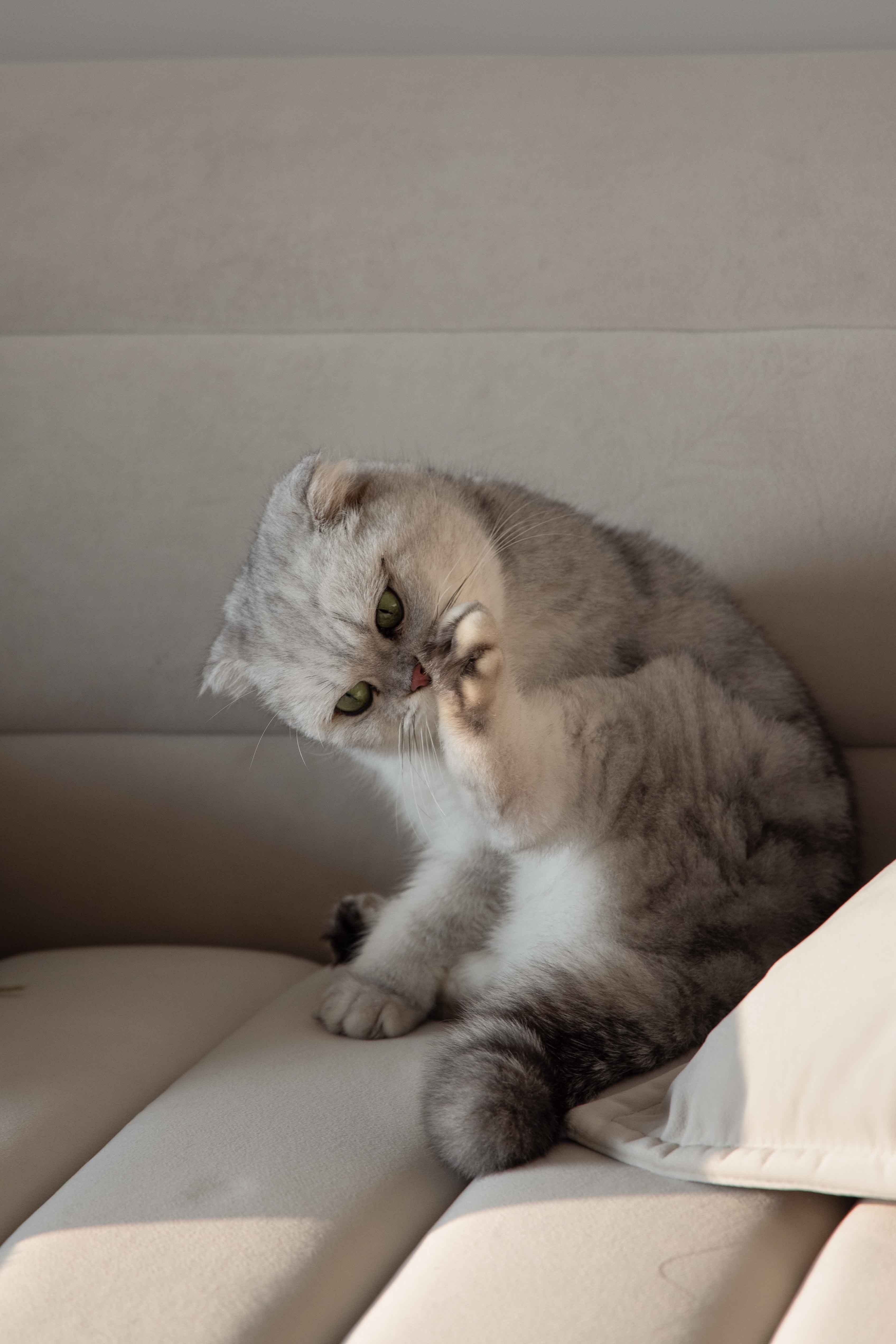 凤凰山庄丨中国安徽丨度设计机构-53