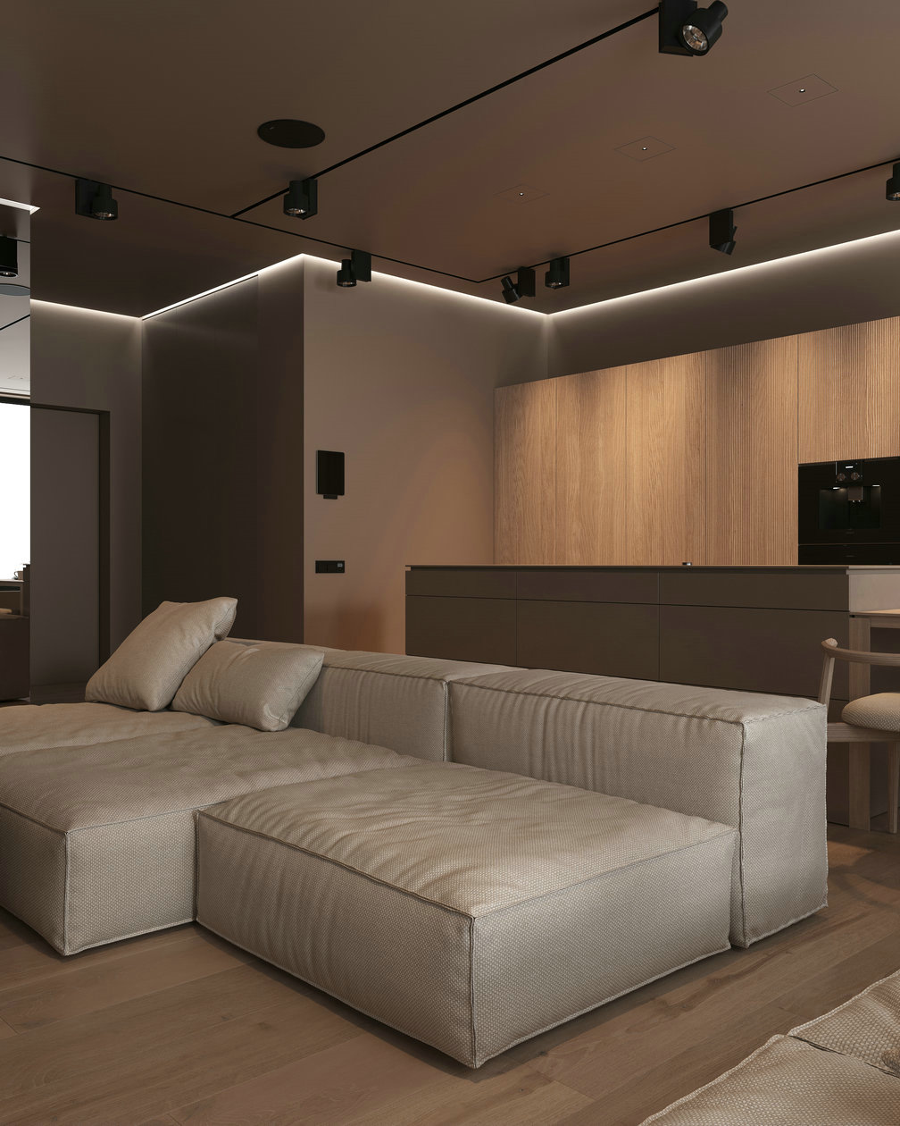 原木风小空间公寓设计-2