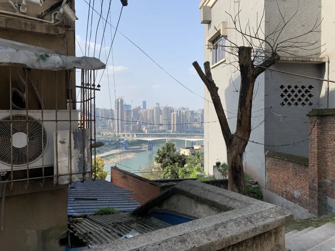 重庆想象之城 | 山城步道与珊瑚坝探索-186