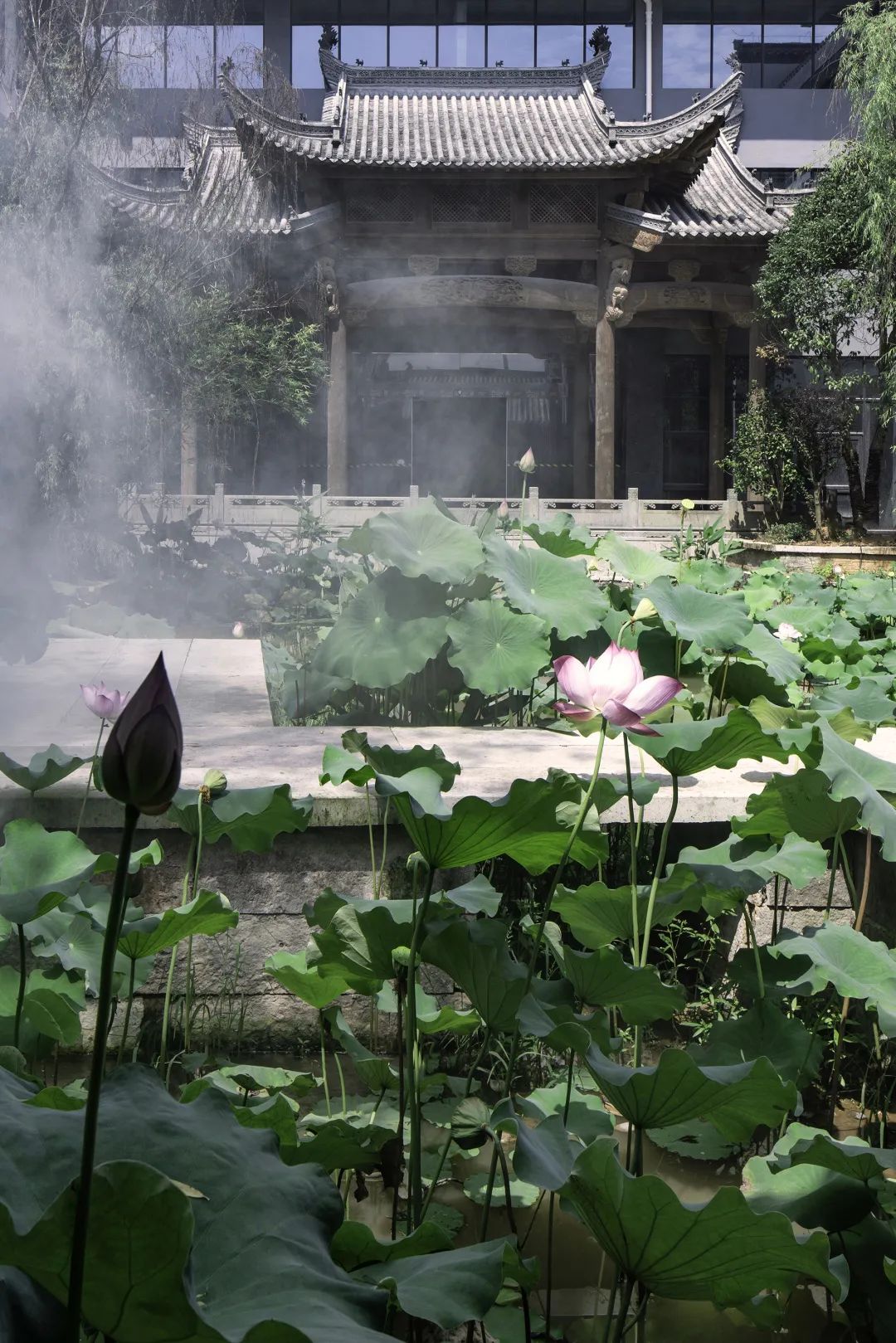 诗莉莉漫戈塔·天榕庄度假村丨中国安徽丨埂上设计-13