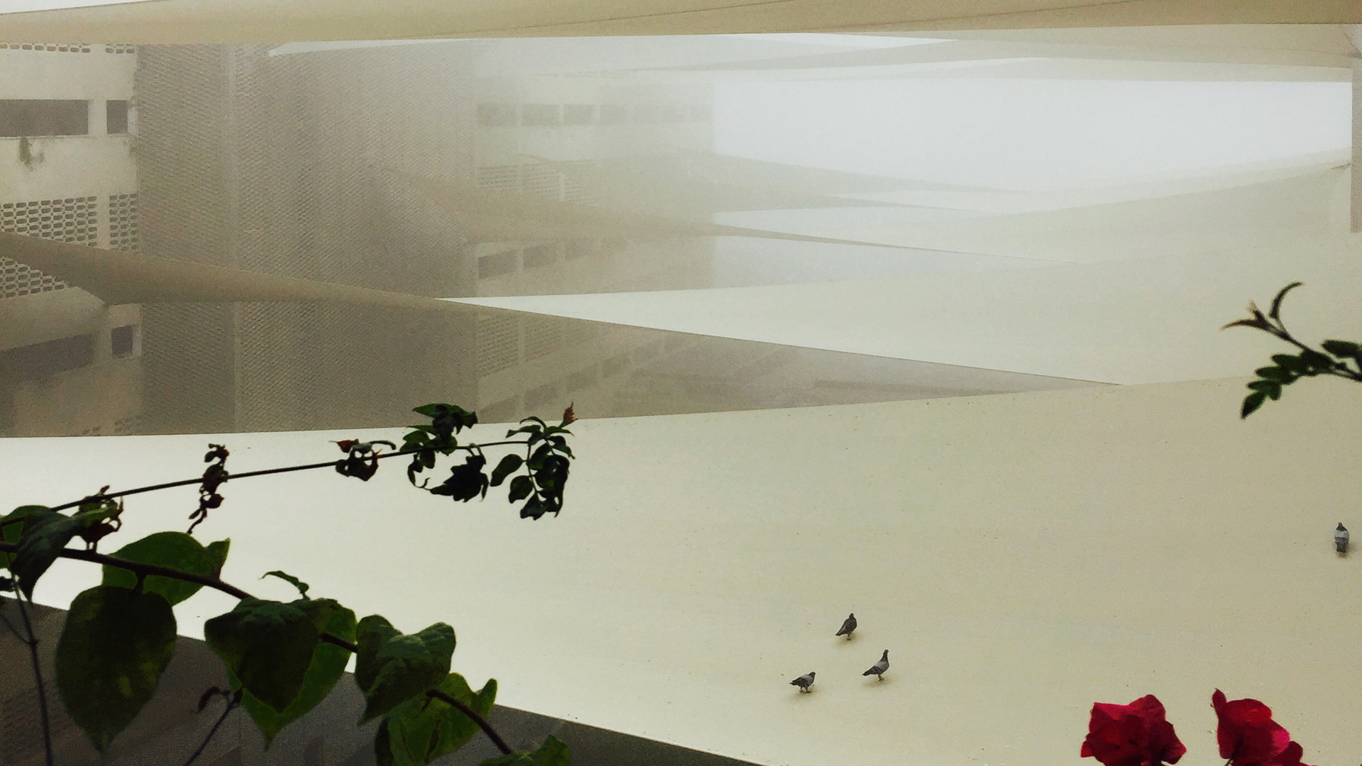 科威特明珠-- 马祖克情结公寓，融入环境，打造城市化新体验-16