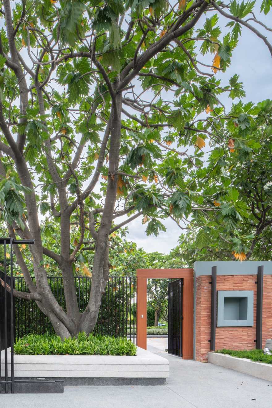 萨瓦纳 3丨泰国曼谷-7