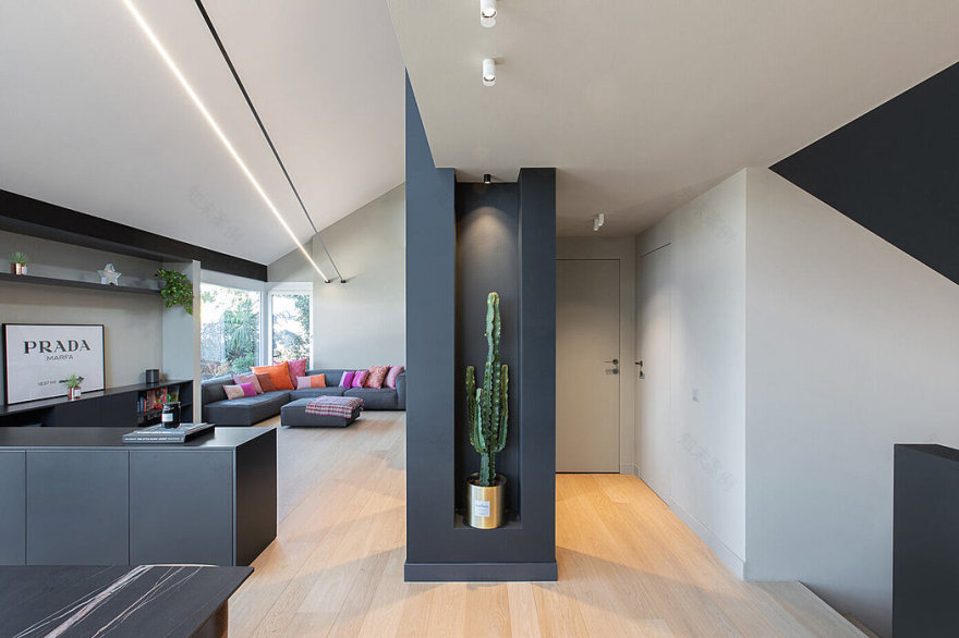 Swiss Dream · 瑞士卢加诺湖畔别墅改造丨Officina 8a-5