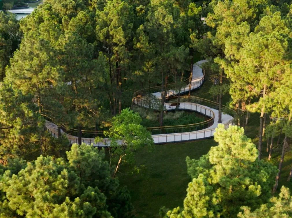 罗朗设计2025南京项目-46