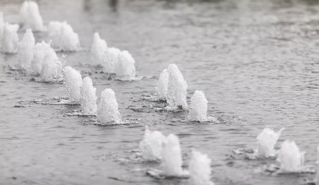 伴山伴水，怀雅而居 | 芜湖绿地国际花都体验区-43