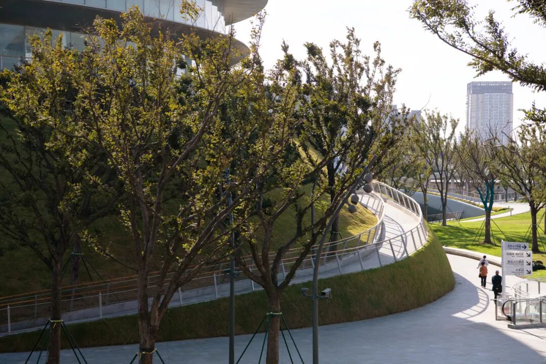 ASLA获奖作品 连接过去和未来的城市绿洲——嘉兴火车站景丨中国嘉兴丨致舍景观-101