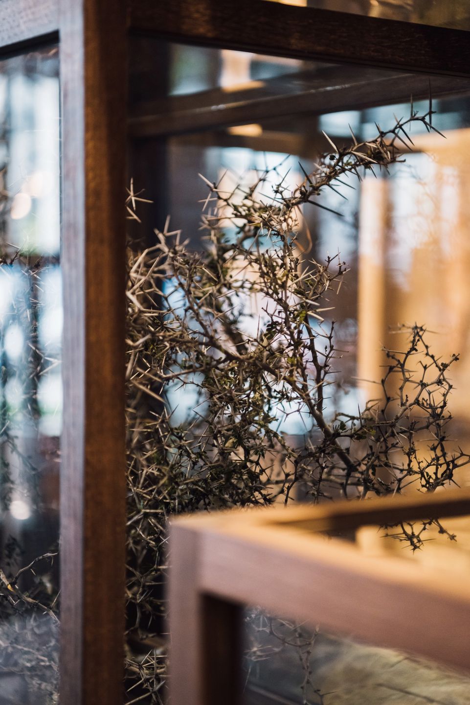 TZUCO®餐厅丨美国芝加哥-55