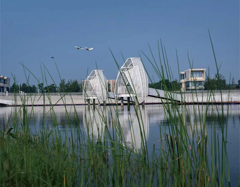 从繁华渔港到生态胜地，重构太湖周边生态面貌 | 太湖流域小溪港鱼咀公园-34