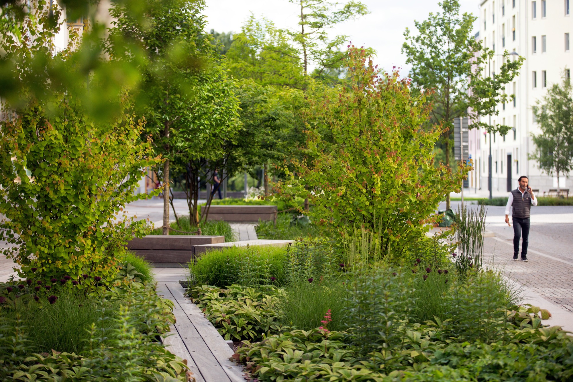 瑞典斯德哥尔摩绿色街道景观设计-0