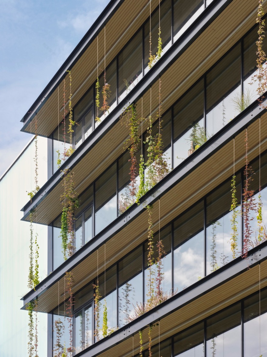 口香糖工厂生产车间改造丨荷兰阿姆斯特丹丨NEXT architects-15