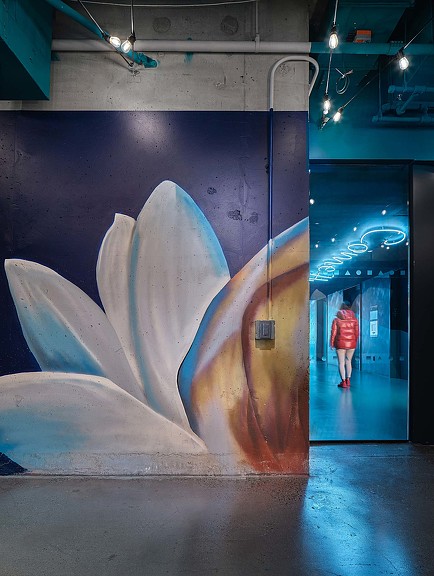 Wunderkind 办公室设计 · 绿色“绿洲”中的创意天地-8