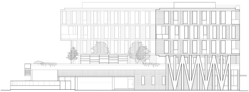 奥斯汀 ARRIVE 酒店丨美国奥斯汀丨Baldridge Architects-64