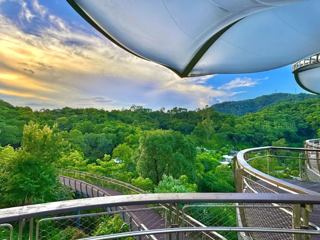 广州云萝植物园丨中国广州丨广州普邦园林股份有限公司-26