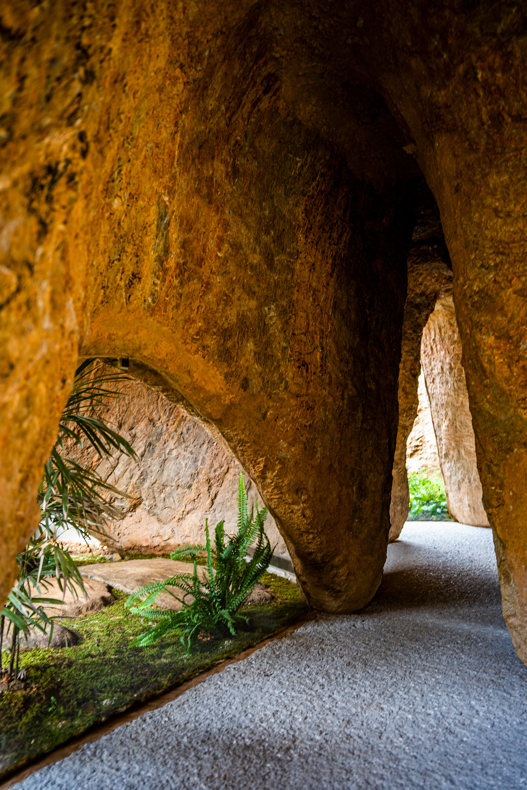 房屋与餐馆丨日本丨junya ishigami + associates-69