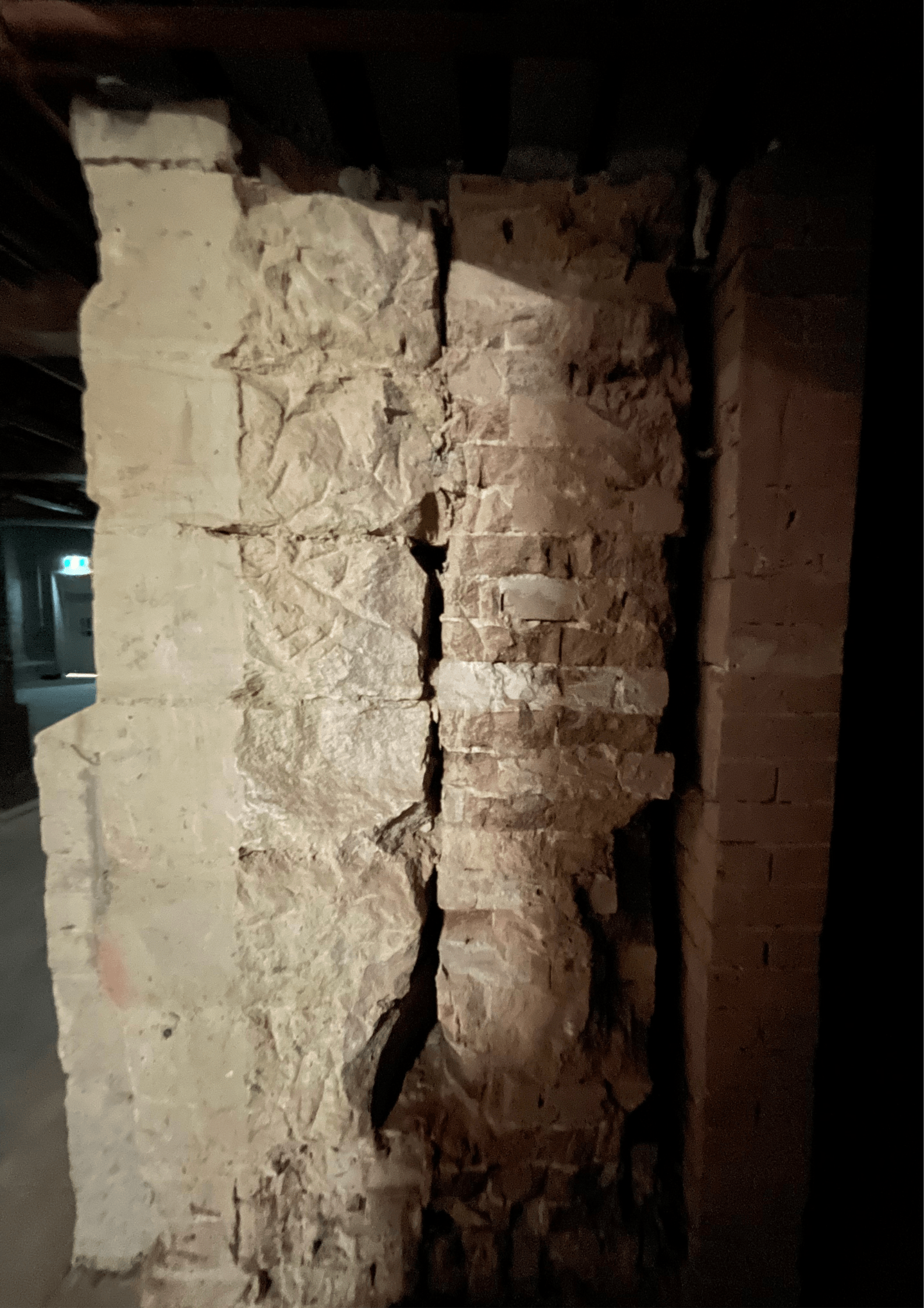 Five Guys | George Street Sydney | Restaurant Design-76