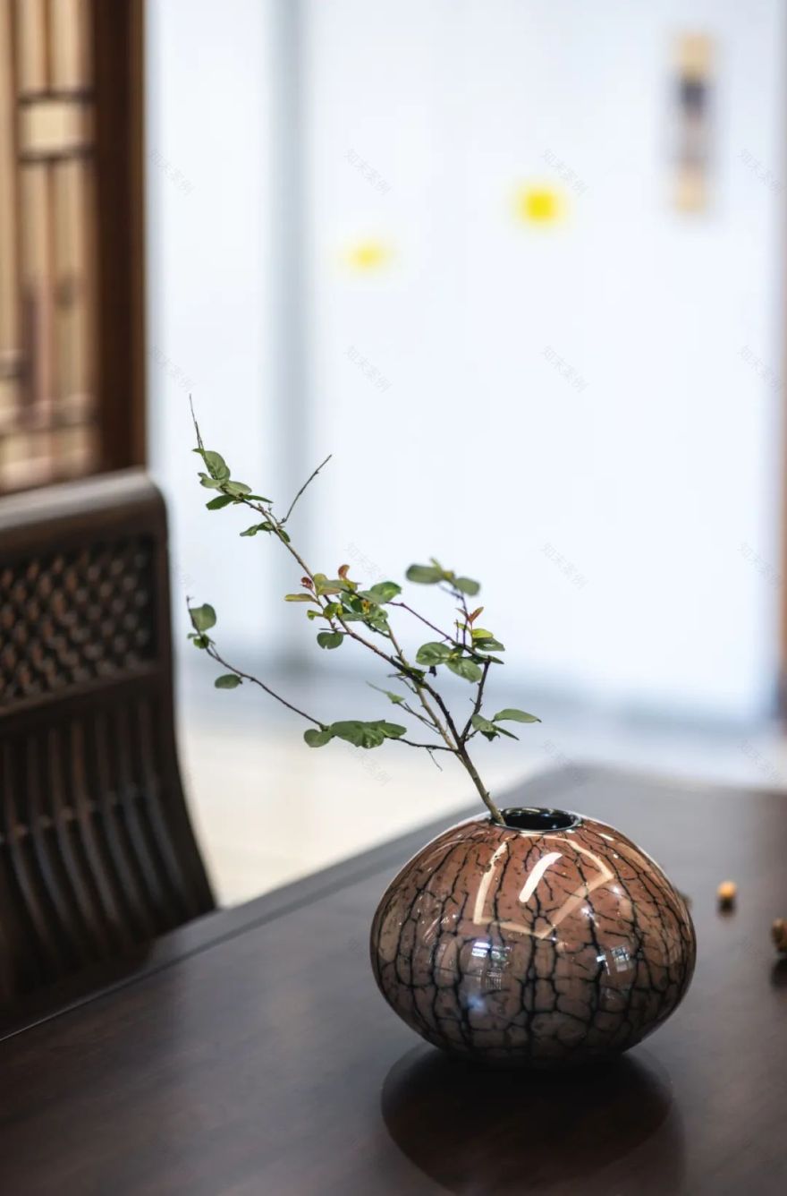 踏雪寻浪·夏梦樱花丨李涪渝-24